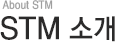 stm소개